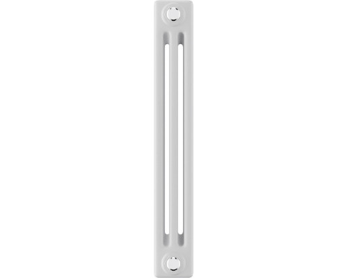 Радиатор отопления ROYAL THERMO C3050-10 секц. RAL9016 INSIGNIA НС-1631233