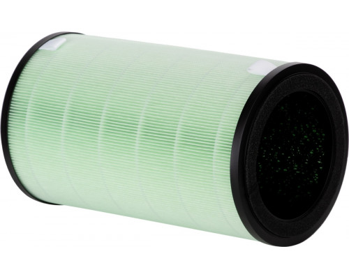 Фильтр ELECTROLUX FAP-2075 ANTI SMOG ACTIVE НС-1476982