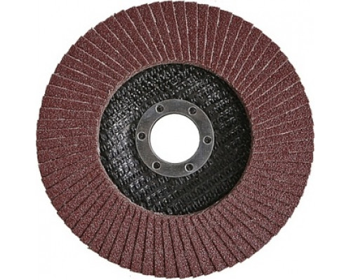 Круг лепестковый Sturm 9010-01-125x22-100 125х22, p100