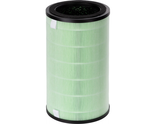 Фильтр ELECTROLUX FAP-2075 ANTI SMOG ACTIVE НС-1476982