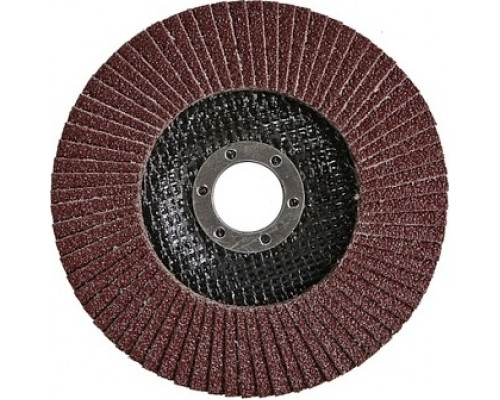 Круг лепестковый Sturm 9010-01-125x22-60 125х22, p60