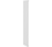 Радиатор отопления ROYAL THERMO VC2180-06 секц. RAL9016 INSIGNIA НС-1631208