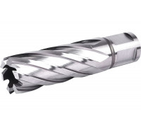 Сверло по металлу Профоснастка D25 L=55/88 мм №18 WELDON19 HSS M2 корончатое 40101018