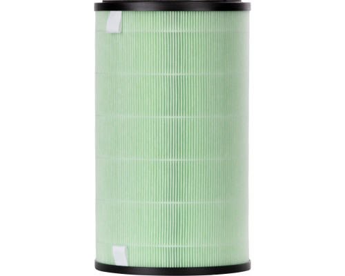Фильтр ELECTROLUX FAP-2075 ANTI SMOG ACTIVE НС-1476982