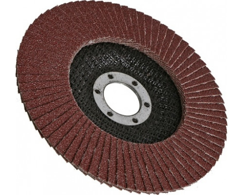 Круг лепестковый Sturm 9010-01-125x22-100 125х22, p100