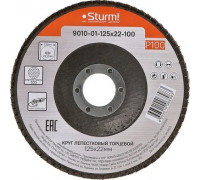 Круг лепестковый Sturm 9010-01-125x22-100 125х22, p100