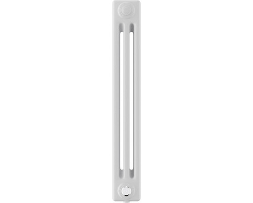 Радиатор отопления ROYAL THERMO VC3050-22 секц. RAL9016 INSIGNIA НС-1631240