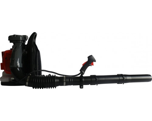 Воздуходувка бензиновая Evoline BLG 80 BP