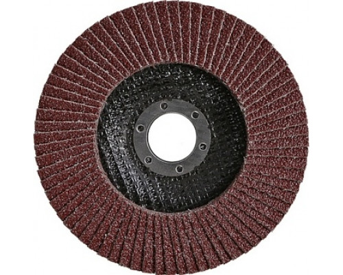 Круг лепестковый Sturm 9010-01-125x22-40 125х22, p40