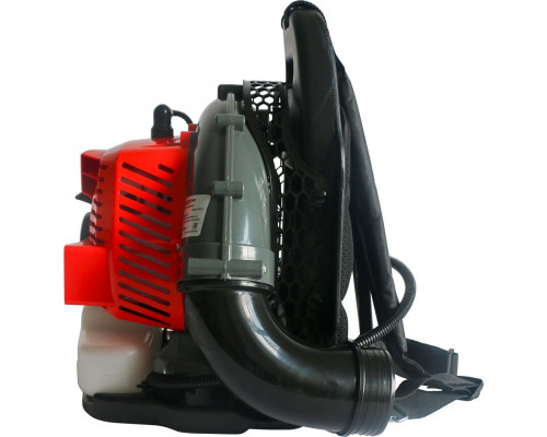 Воздуходувка бензиновая Evoline BGL 42 BP