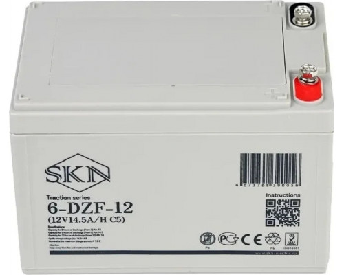 Аккумулятор SKN 6-DZF-12 тяговый 12V 14.5 А/ч (C5) 025383