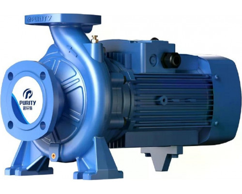Моноблочный насос PURITY PSTG 100-200/370