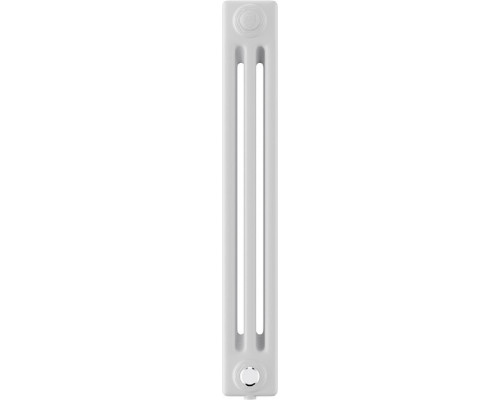 Радиатор отопления ROYAL THERMO VC3050-18 секц. RAL9016 INSIGNIA НС-1631238