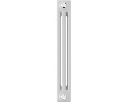 Радиатор отопления ROYAL THERMO C3050-30 секц. RAL9016 INSIGNIA НС-1631243