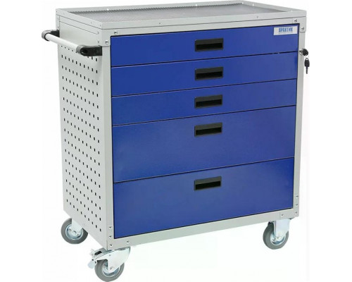 Тележка инструментальная ПРАКТИК WDS D-5.0 S30299033504