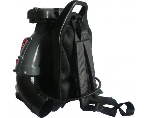 Воздуходувка бензиновая Evoline BLG 80 BP