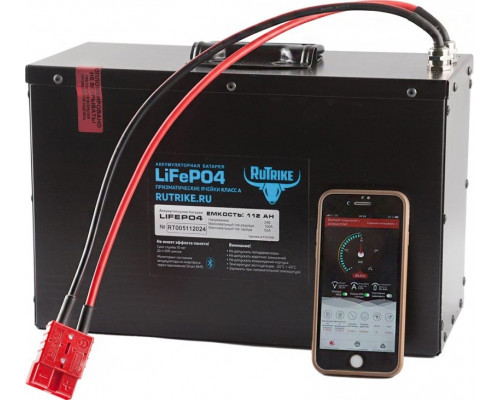 Аккумулятор SKN LiFePo4 24V 112Ah (100A) без дисплея, BMS смарт, литиевый тяговый 025103
