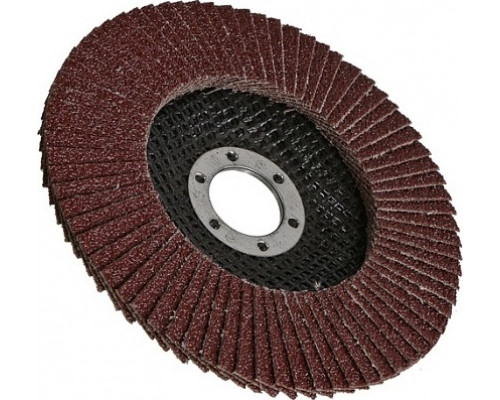 Круг лепестковый Sturm 9010-01-125x22-60 125х22, p60