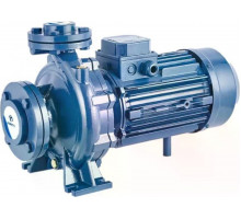 Моноблочный насос PURITY PSTC 80-160/185 100589380