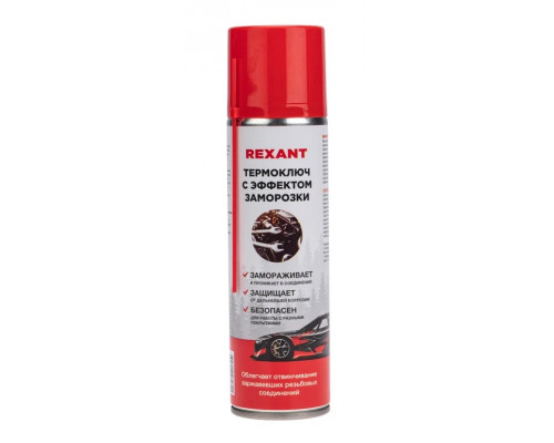Термоключ с эффектом заморозки REXANT 335 мл, аэрозоль 85-0079