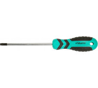 Отвертка TX Sturm 1040-23-TT30-125 с отверстием, магнит. наконеч.,
