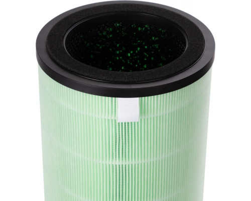 Фильтр ELECTROLUX FAP-2050 ANTI SMOG ACTIVE НС-1476973
