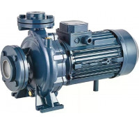 Моноблочный насос PURITY PSTC 50-250/185 100588147