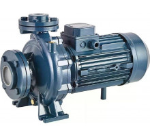Моноблочный насос PURITY PSTC 50-250/185 100588147