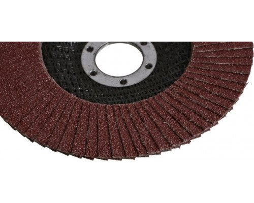 Круг лепестковый Sturm 9010-01-125x22-100 125х22, p100