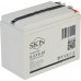 Аккумулятор SKN 6-EVF-45 тяговый 12V 47.5 А/ч (C5) 025389