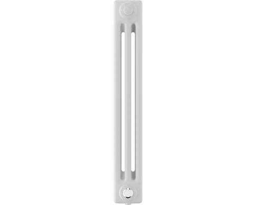 Радиатор отопления ROYAL THERMO VC3050-10 секц. RAL9016 INSIGNIA НС-1631234