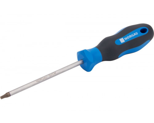 Отвертка TX Norgau T15x100 с torx профилем 061137215