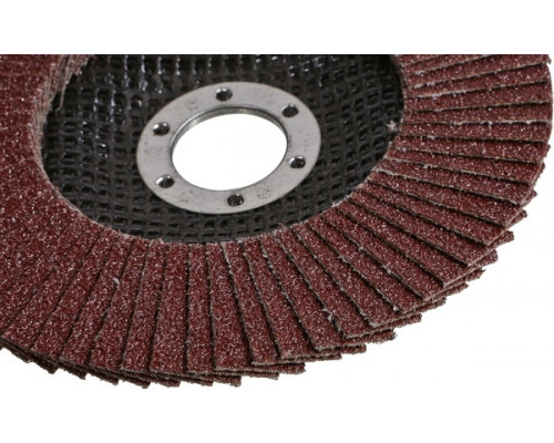Круг лепестковый Sturm 9010-01-125x22-60 125х22, p60