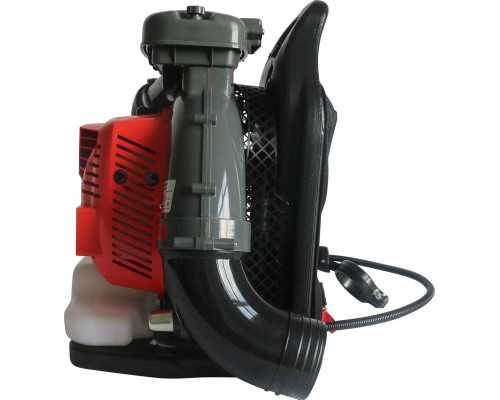 Воздуходувка бензиновая Evoline BLG 80 BP
