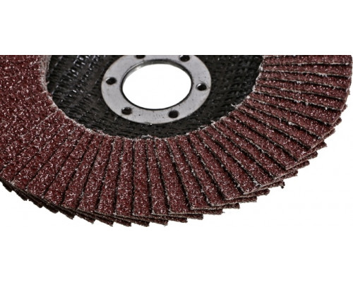 Круг лепестковый Sturm 9010-01-125x22-25 125х22, p25