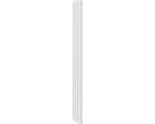 Радиатор отопления ROYAL THERMO C2180-04 секц. RAL9016 INSIGNIA НС-1631202