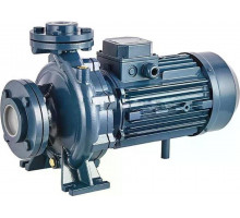 Моноблочный насос PURITY PSTC 50-125/40 100590391