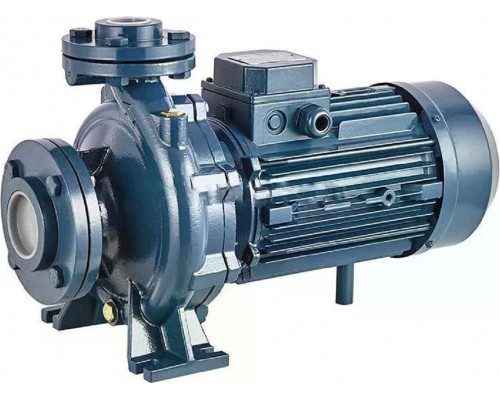Моноблочный насос PURITY PSTC 50-125/40 100590391