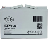 Аккумулятор SKN 6-EVF-60 (12V64A/H C5) тяговый 025392