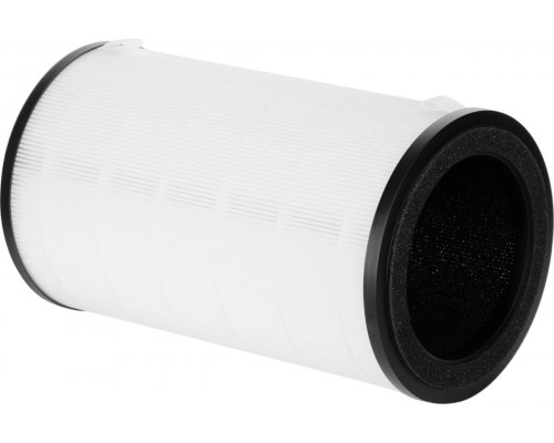 Фильтр ELECTROLUX FAP-2075 ANTI ALLERGY НС-1476975