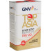 Масло моторное GNV Top Asia 0W20 4 л (металл. канистра) GTA1011884020010020004