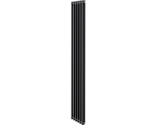 Радиатор отопления ROYAL THERMO C2180-06 секц. RAL9005m INSIGNIA НС-1631205