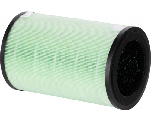 Фильтр ELECTROLUX FAP-2050 ANTI SMOG ACTIVE НС-1476973