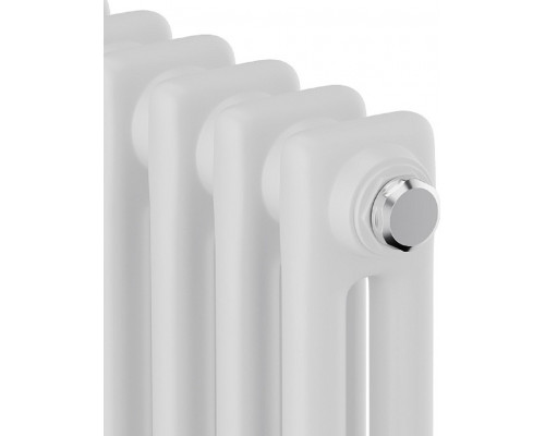 Радиатор отопления ROYAL THERMO C2180-04 секц. RAL9016 INSIGNIA НС-1631202