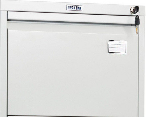 Картотека ПРАКТИК AFC-04 S20299040102
