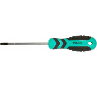 Отвертка TX Sturm 1040-23-TT25-100 с отверстием, магнит. наконеч.,