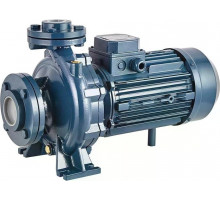 Моноблочный насос PURITY PSTC 50-125/30 100588144