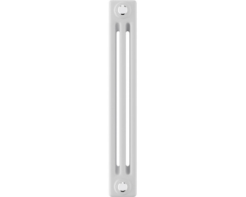 Радиатор отопления ROYAL THERMO C3050-26 секц. RAL9016 INSIGNIA НС-1631241