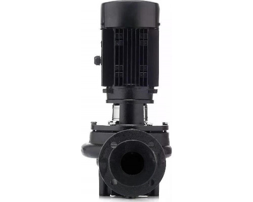 Насос циркуляционный PURITY INLINE PTD65-30G/2 100590576