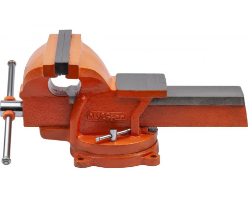 Тиски AV Steel AV-940008 слесарные поворотные, 200 мм